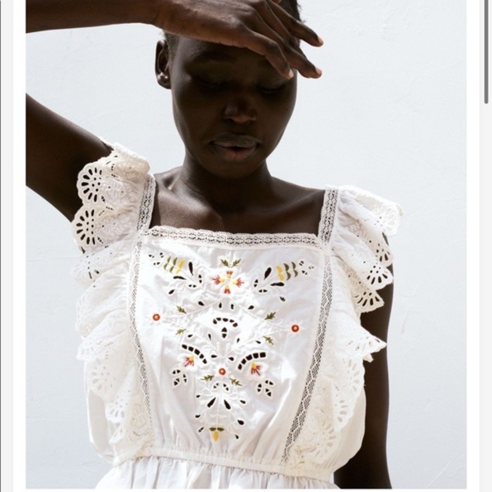 Zara Embroidered Ruffle Sleeve cropped Blouse